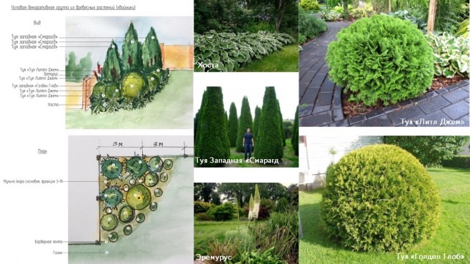 Выгодное поступление – работы студентов - 45