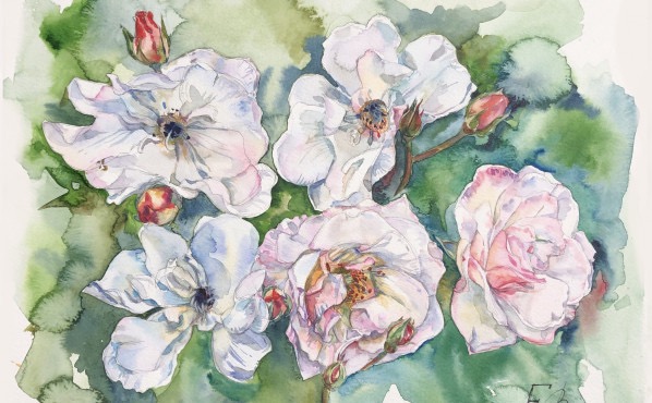 CG-рисование – работы студентов - 39